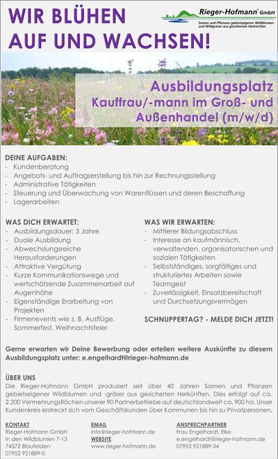 Ausbildung Groß- und Außenhandel
