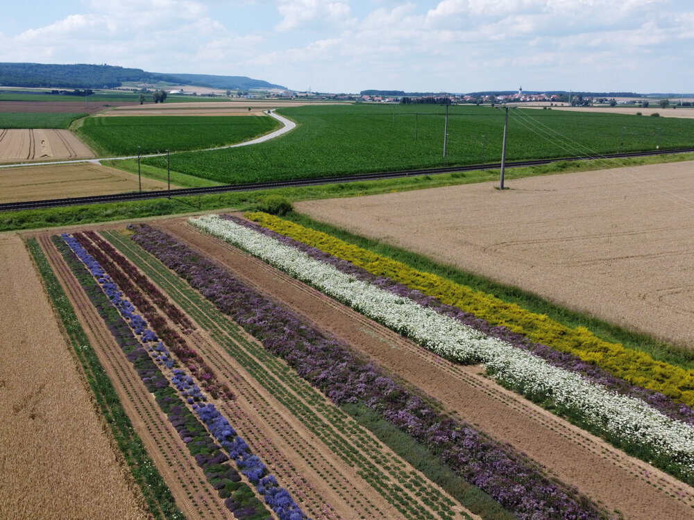 Anbaustart im fränkischen Hügelland (UG 12) Anbaustart im fränkischen Hügelland (UG 12)