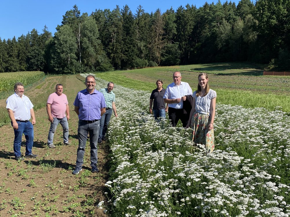 Wildartenvermehrung in Cham (UG 19) Wildartenvermehrung in Cham (UG 19)