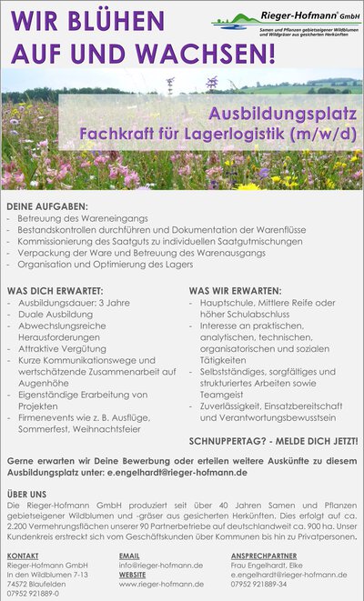 Ausbildung Fachkraft für Lagerlogistik